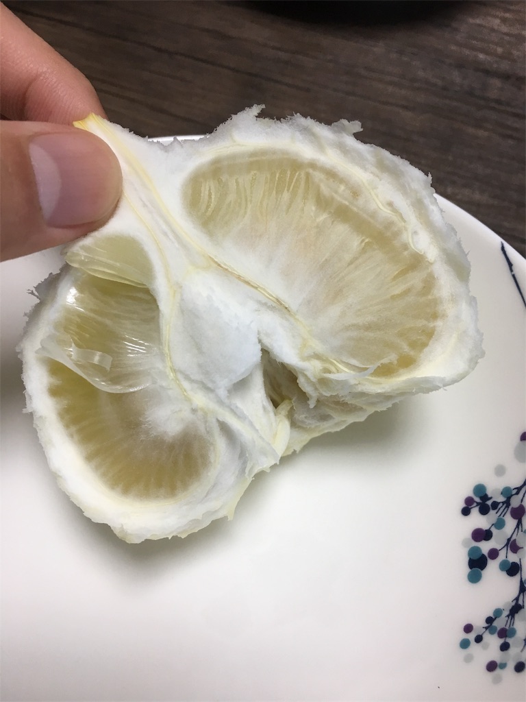 f:id:bridge-writer:20180309074453j:image