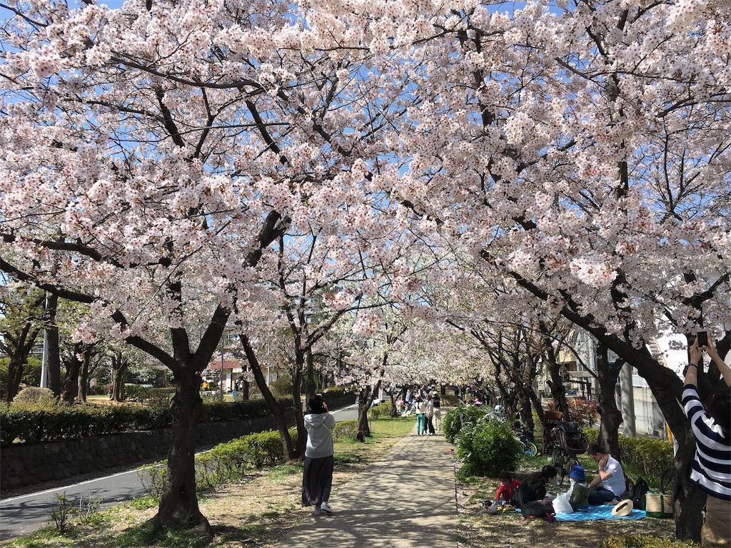 f:id:bridge-writer:20180401164428j:image