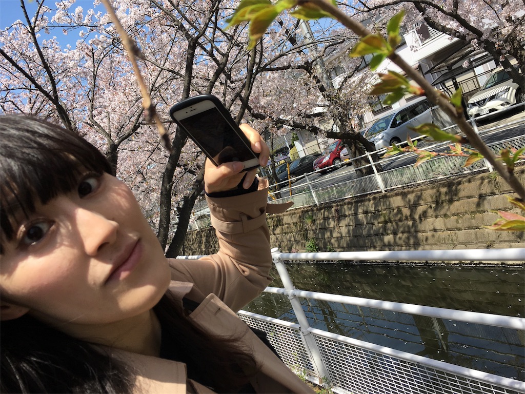f:id:bridge-writer:20180401164646j:image