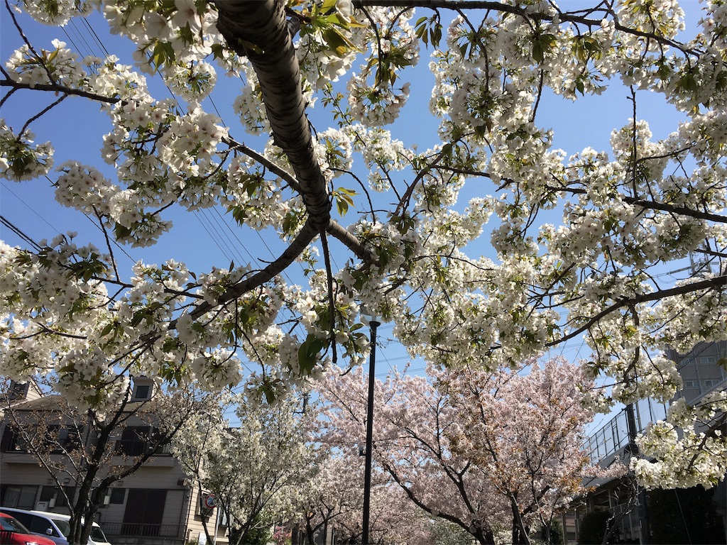 f:id:bridge-writer:20180401165012j:image