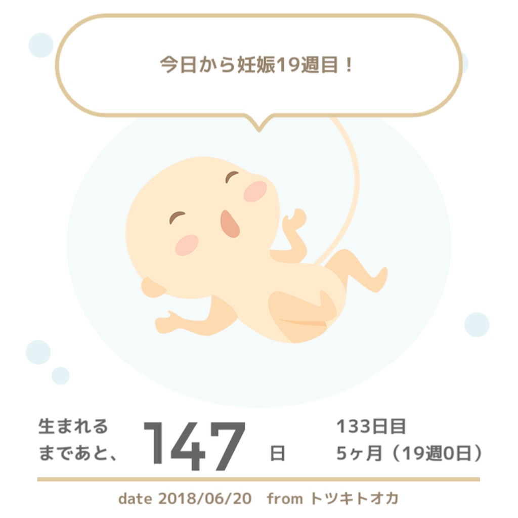 妊娠しました 記事後半にエコー動画あり 苦手な方は閲覧注意 徒然ブリッジライティング