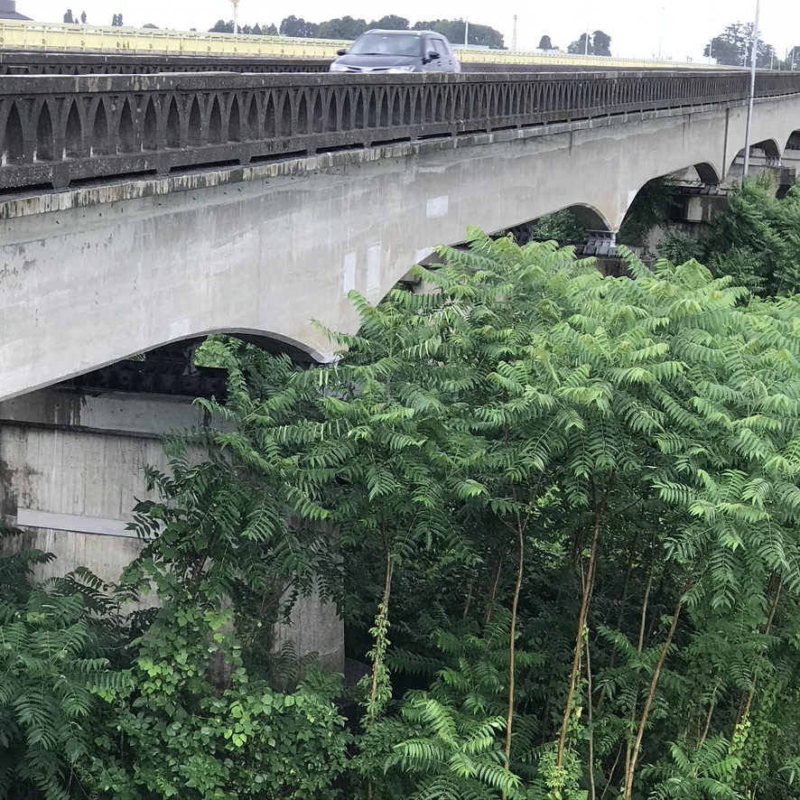 f:id:bridge1215:20200617081740j:plain