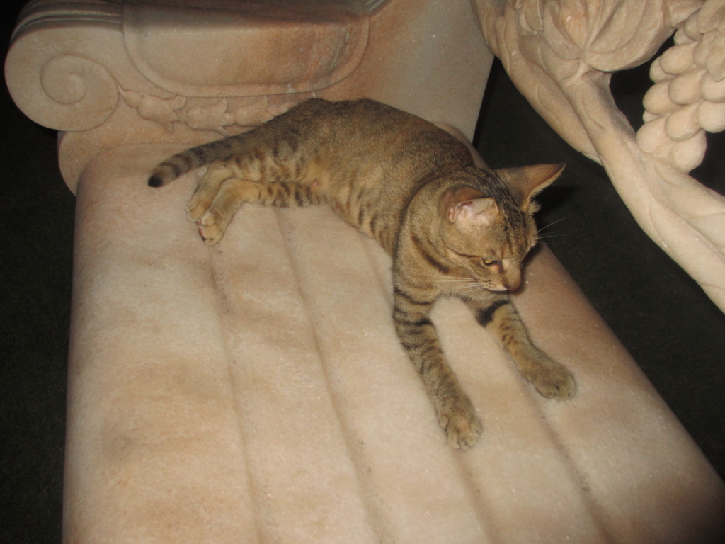 f:id:brikaz211:20170910104746j:plain