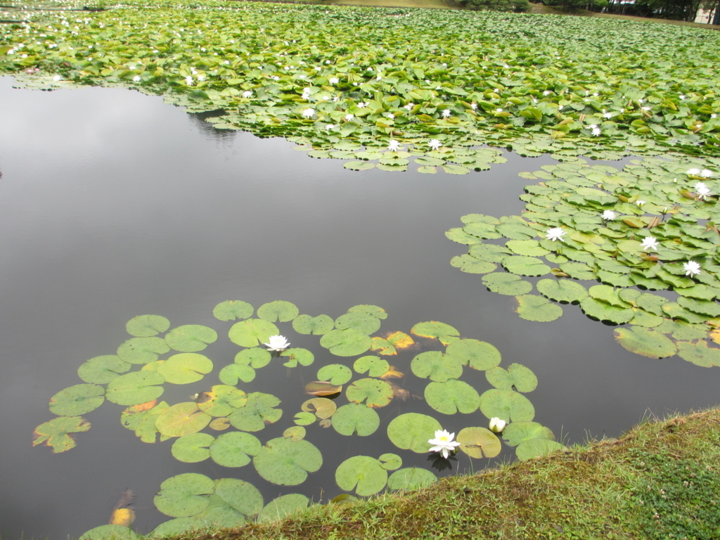 f:id:brikaz211:20171112191954j:plain