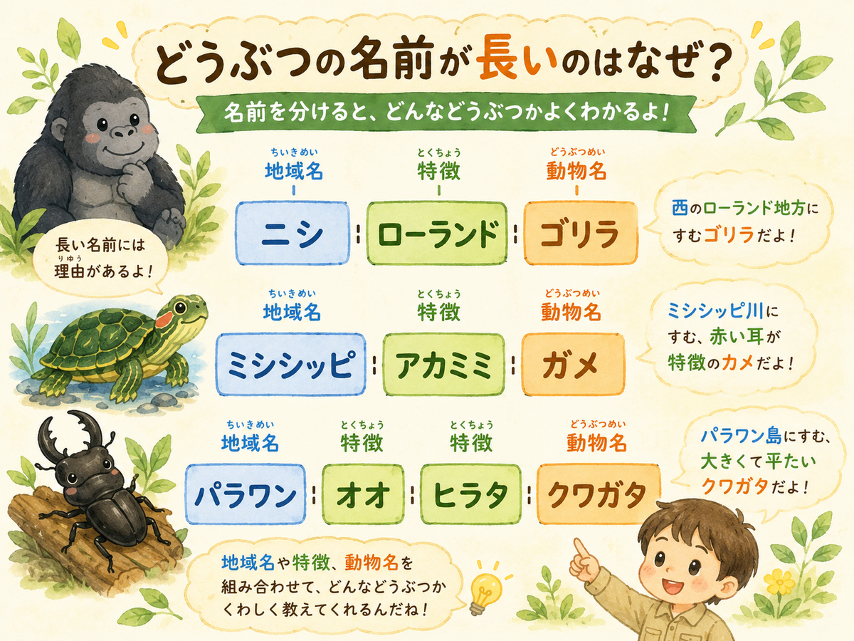 名前 が 長い 動物