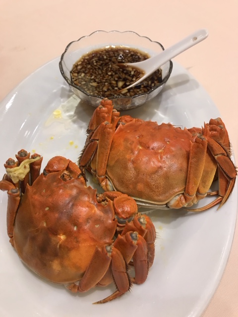 f:id:brilliant_future:20190927195058j:plain