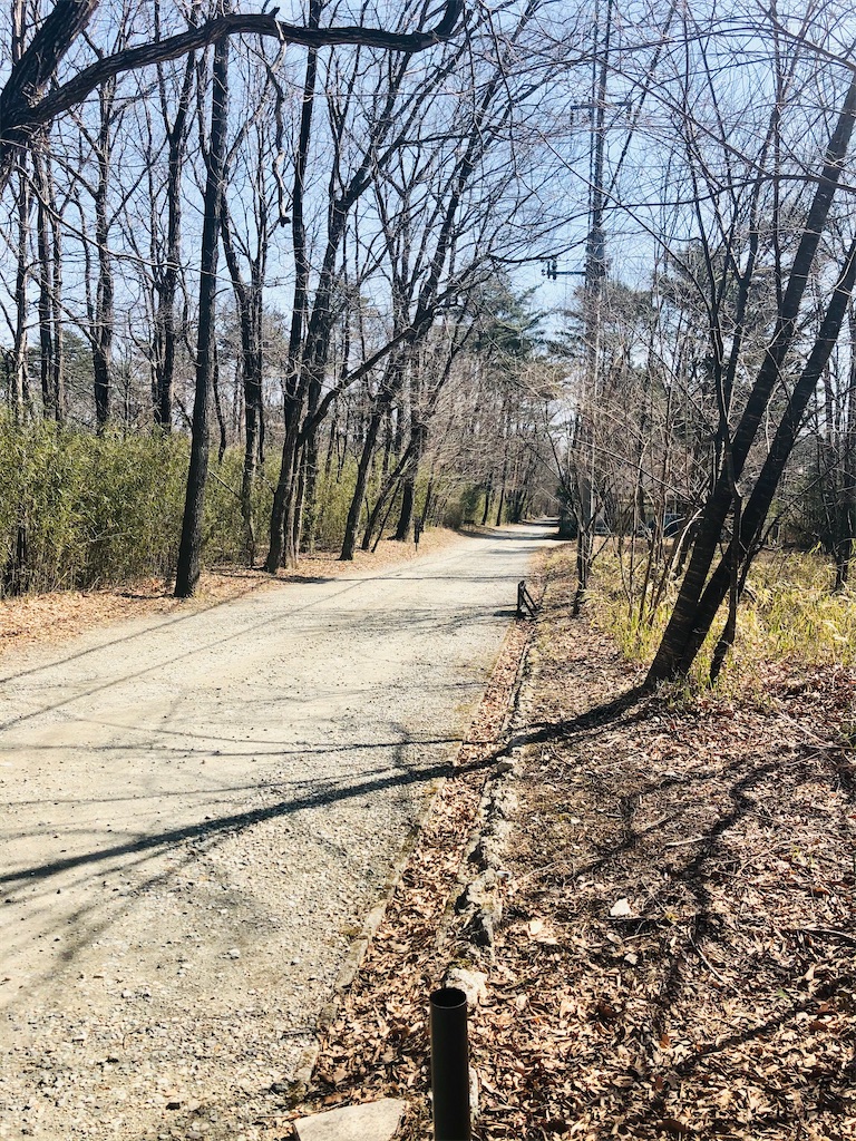 f:id:brilliantyfilm:20210318151025j:image f:id:brilliantyfilm:20210318151025j:image