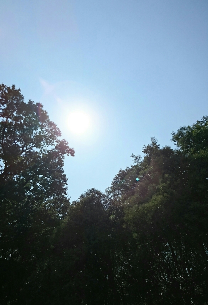 f:id:brisk2013:20160818171655j:plain f:id:brisk2013:20160818171655j:plain