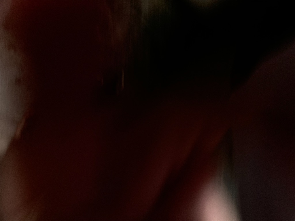 f:id:brogmybana:20241123213638j:image