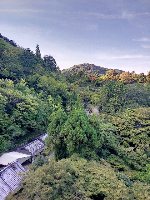 f:id:brogmybana:20250822123223j:image