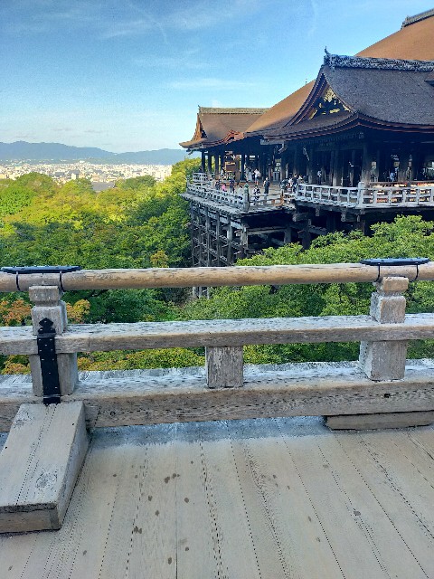 f:id:brogmybana:20250822123228j:image
