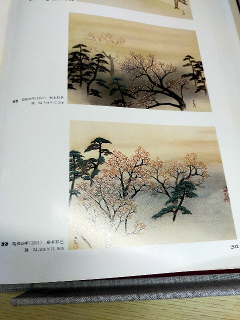 f:id:brogmybana:20251124133557j:image