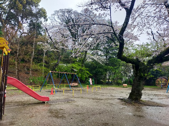 f:id:brogmybana:20260404173249j:image