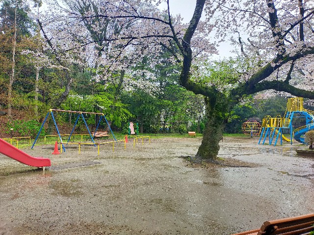 f:id:brogmybana:20260404173254j:image