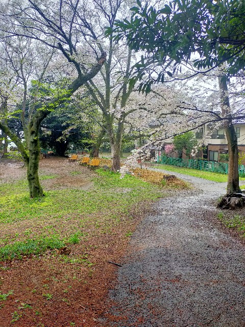 f:id:brogmybana:20260404173412j:image