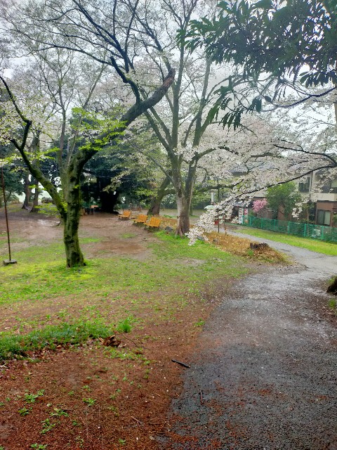 f:id:brogmybana:20260404173420j:image