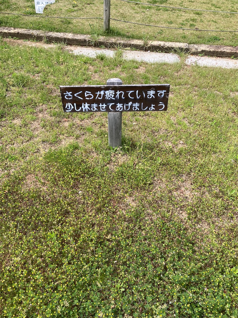 f:id:brogmybana:20260421120236j:image