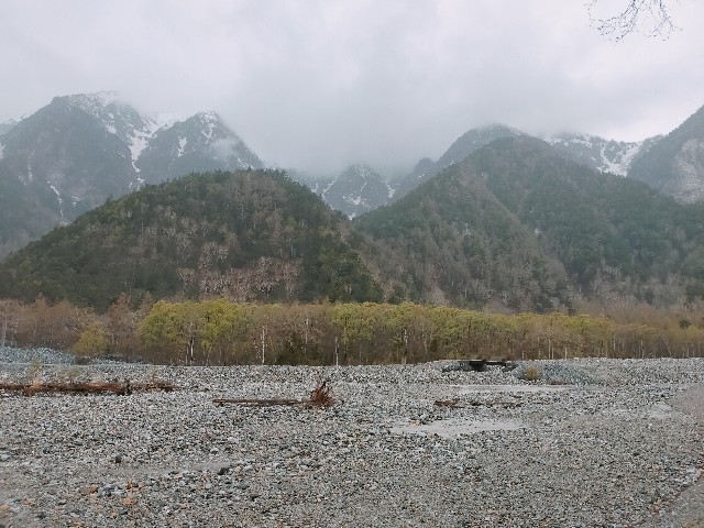 f:id:brogmybana:20260503174427j:image
