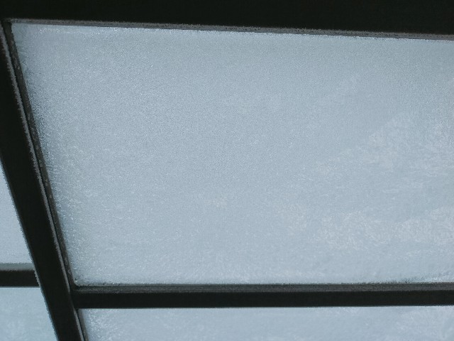 f:id:brogmybana:20260506103424j:image