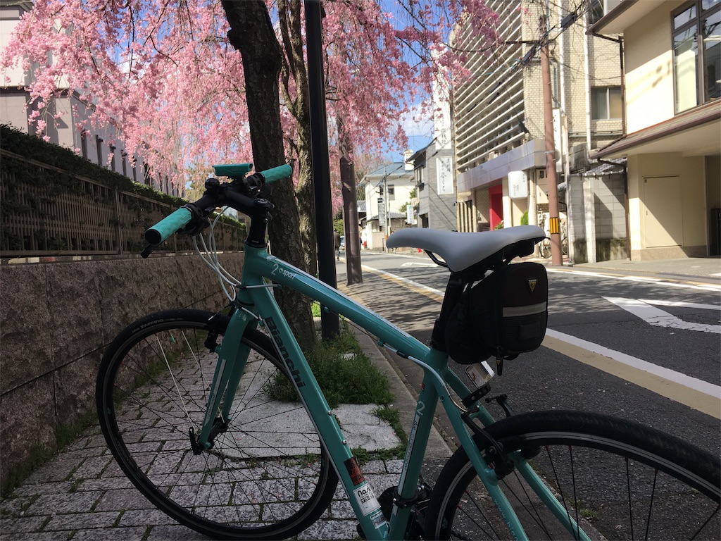 f:id:broilerkun:20191116213253j:image