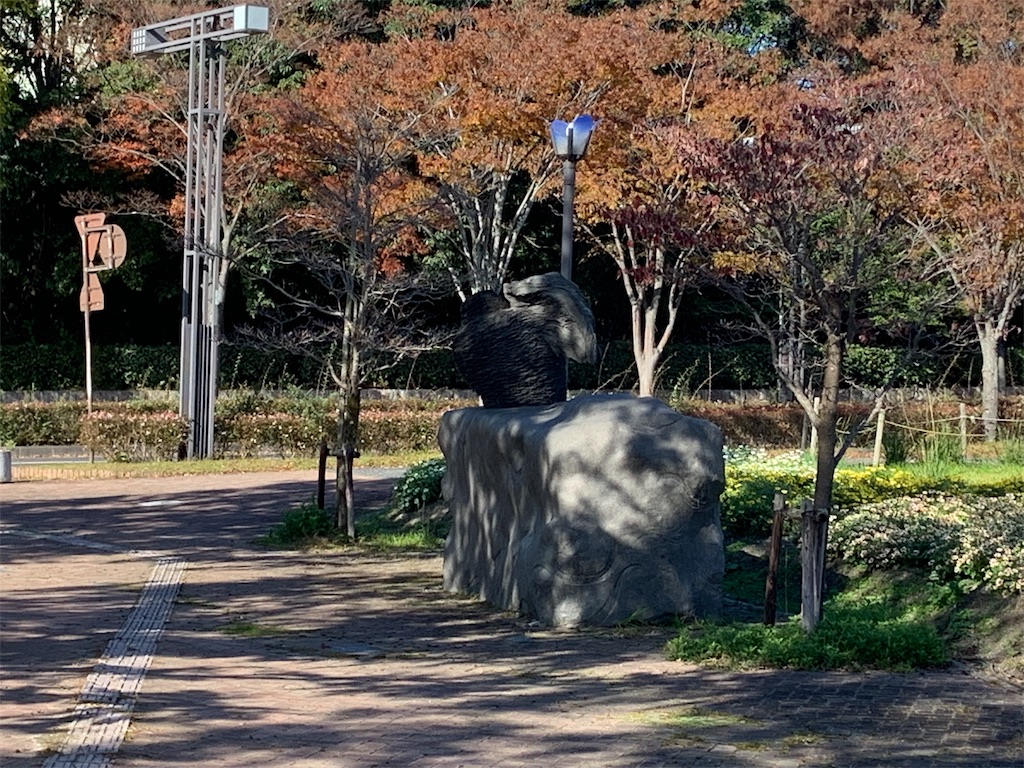 f:id:broilerkun:20191116214608j:image