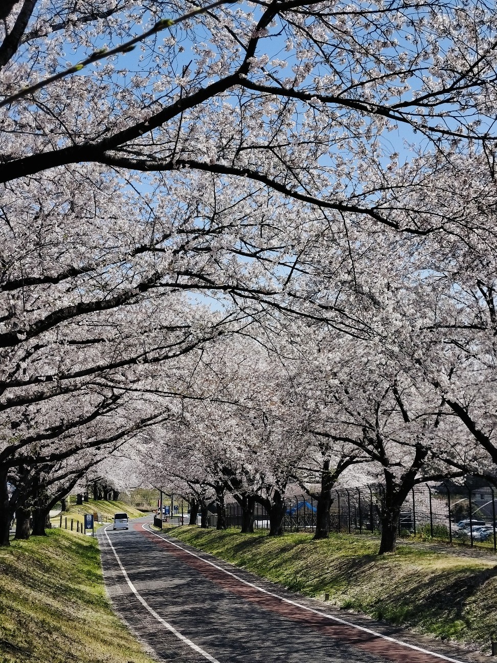 f:id:brook-tokigawa:20260403153741j:image