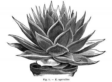 f:id:brooklynlifehack:20201203113506j:plain