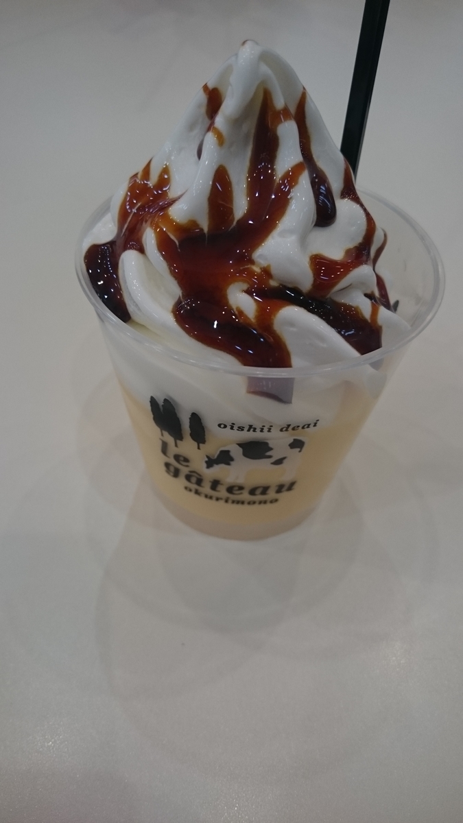 f:id:brooklynlifehack:20201212163630j:plain