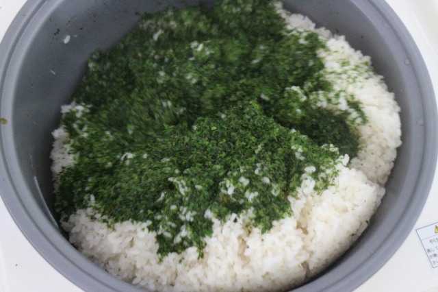 f:id:brooklynlifehack:20201231093811j:plain