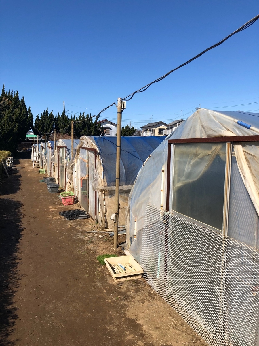 f:id:brooklynlifehack:20210225222136j:plain