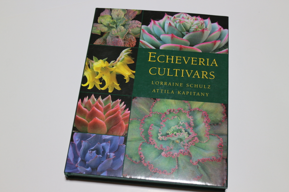 Echeveria Cultivars | NHBS Academic & Professional Books