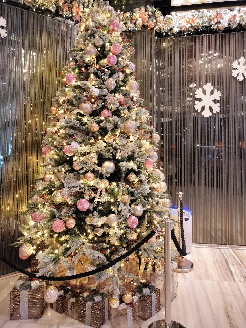 f:id:brotex:20231218004938j:image