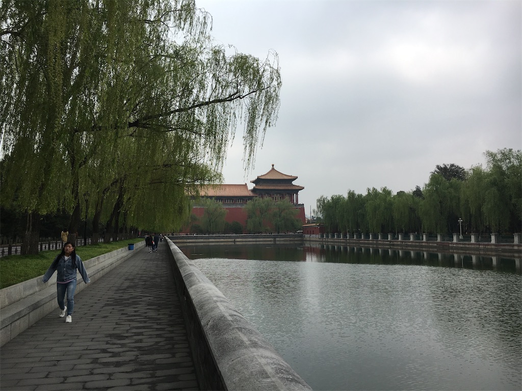 f:id:brown-lizard:20201018224420j:image