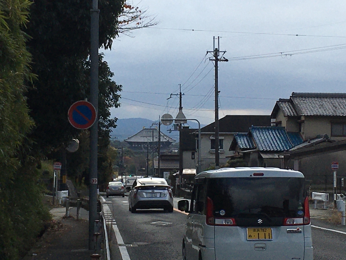 f:id:brown-lizard:20201129140417j:plain