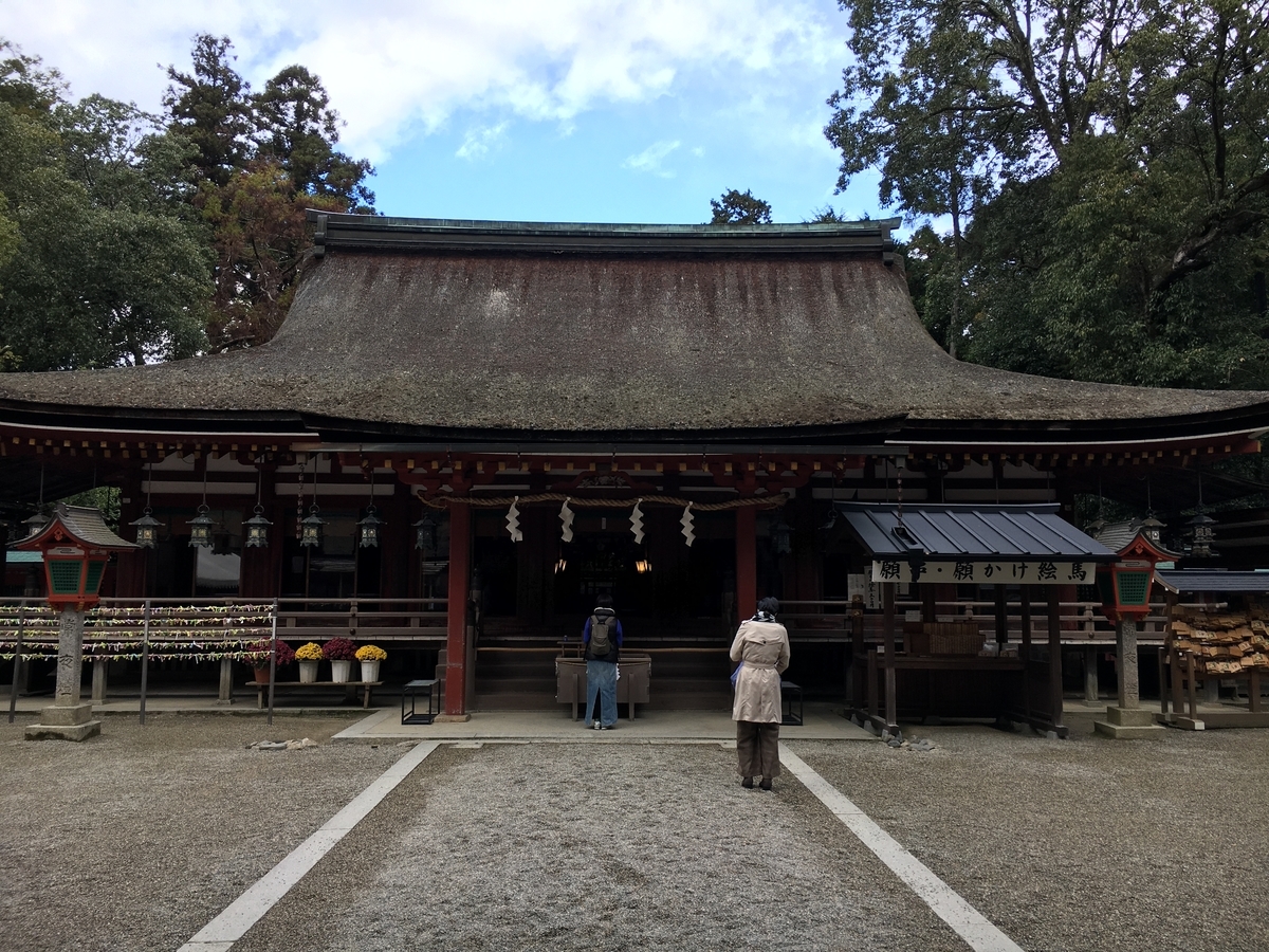 f:id:brown-lizard:20201129140621j:plain