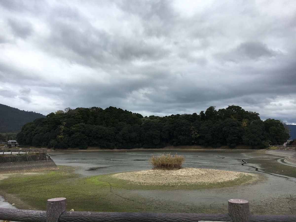 f:id:brown-lizard:20201129140727j:plain