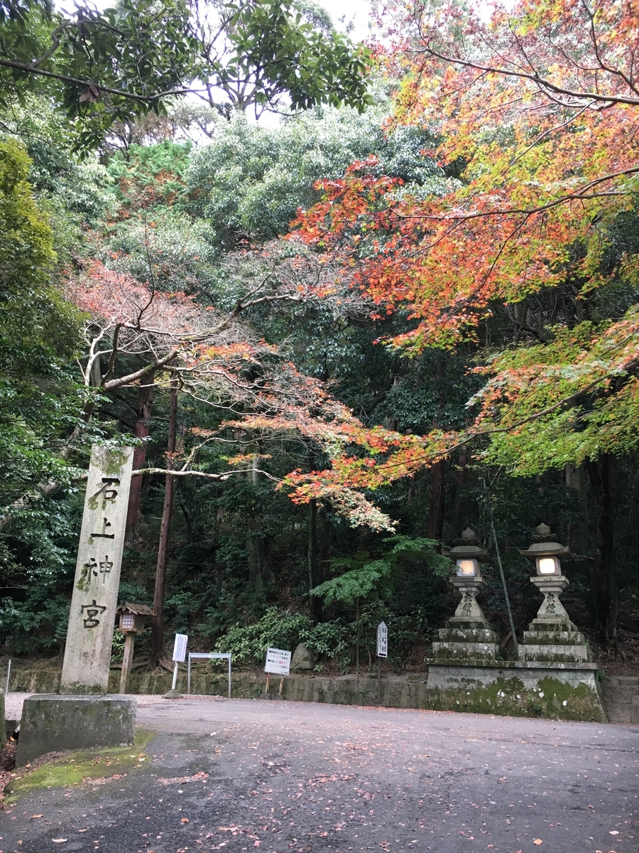 f:id:brown-lizard:20201129142159j:plain