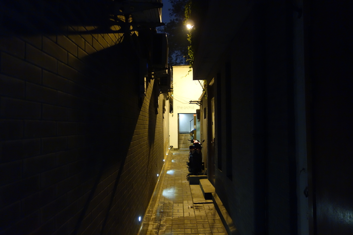f:id:brown-lizard:20201206121303j:plain