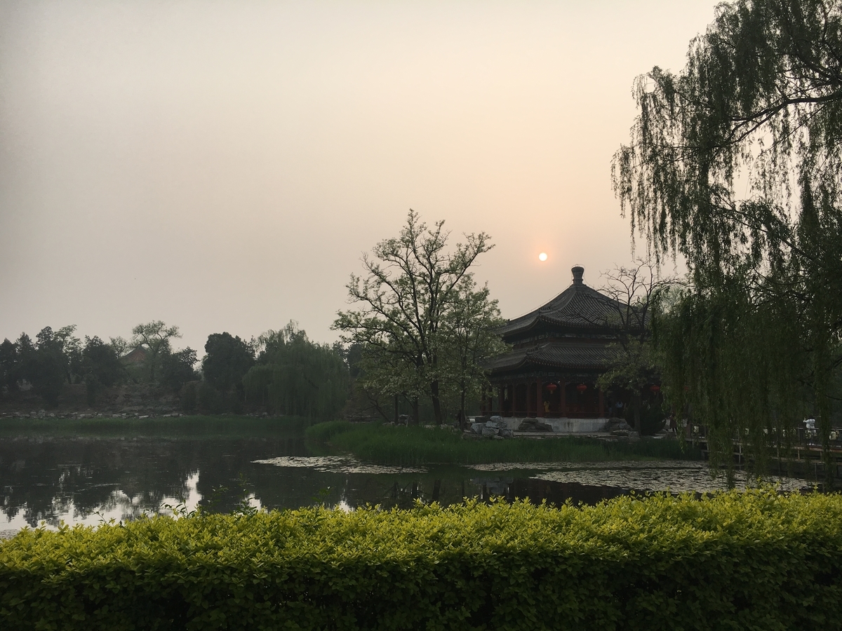 f:id:brown-lizard:20201206130548j:plain