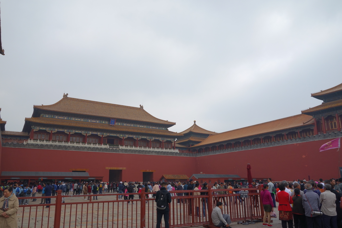 f:id:brown-lizard:20201206131318j:plain