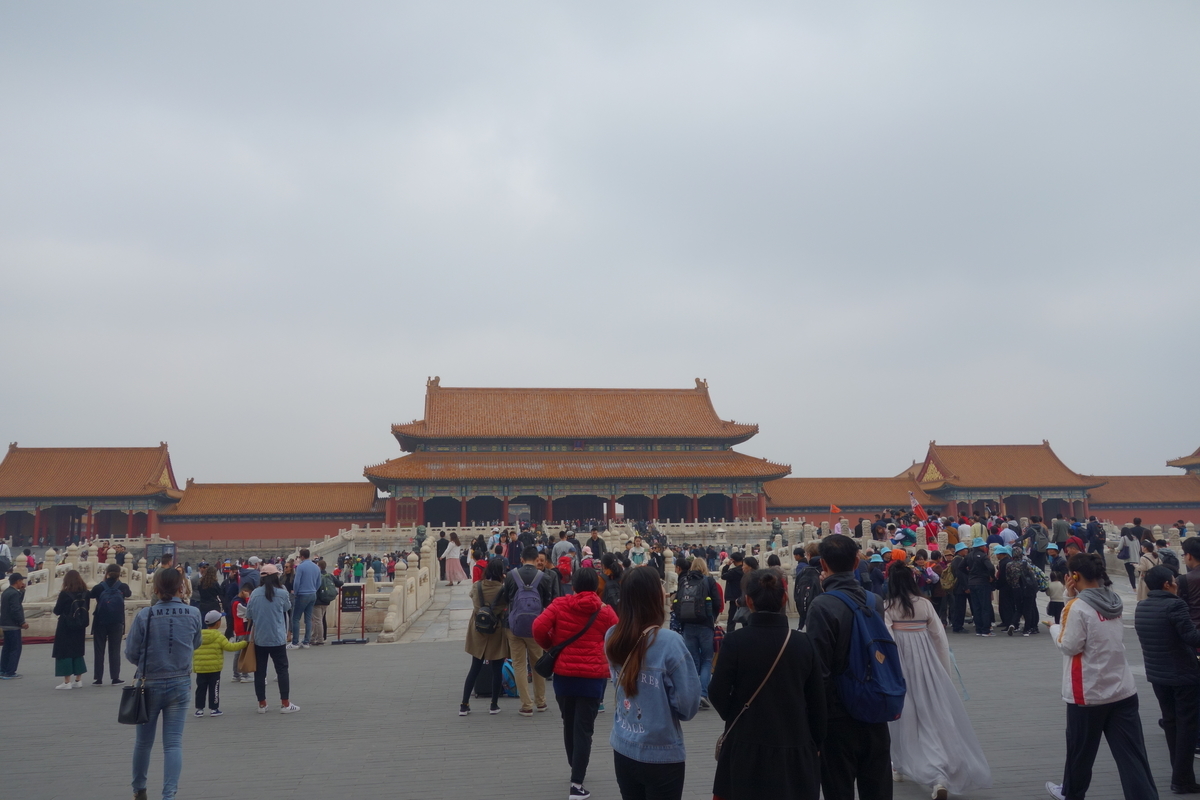f:id:brown-lizard:20201206131344j:plain