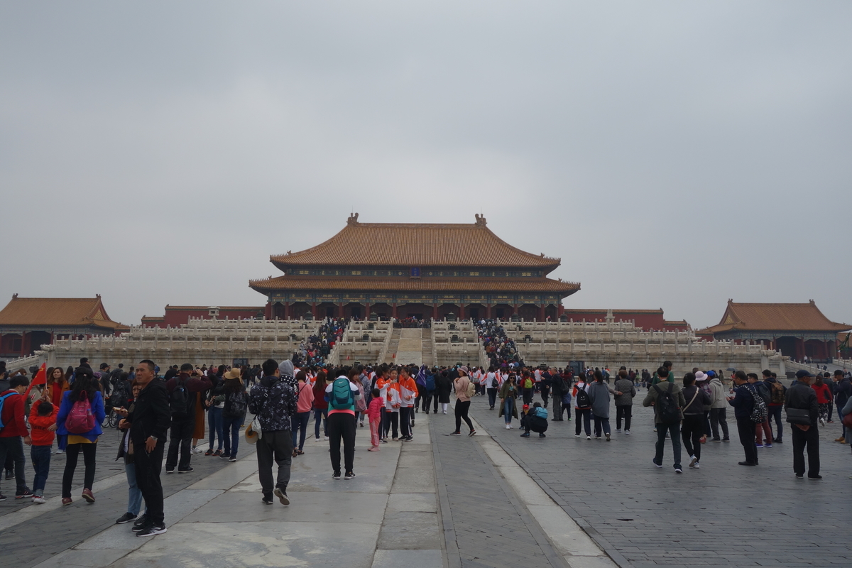 f:id:brown-lizard:20201206131413j:plain