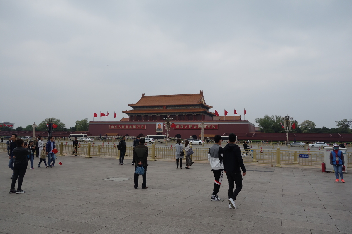 f:id:brown-lizard:20201206132329j:plain