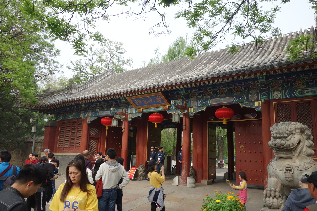 f:id:brown-lizard:20201206133937j:plain