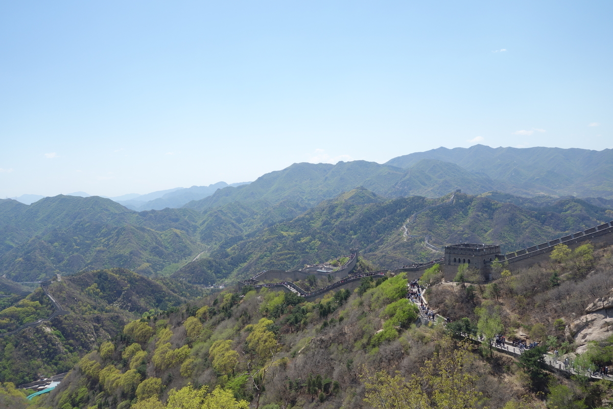 f:id:brown-lizard:20201206134323j:plain
