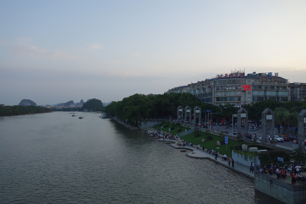 f:id:brown-lizard:20201206174145j:plain