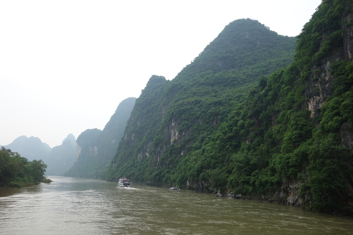 f:id:brown-lizard:20201206180447j:plain