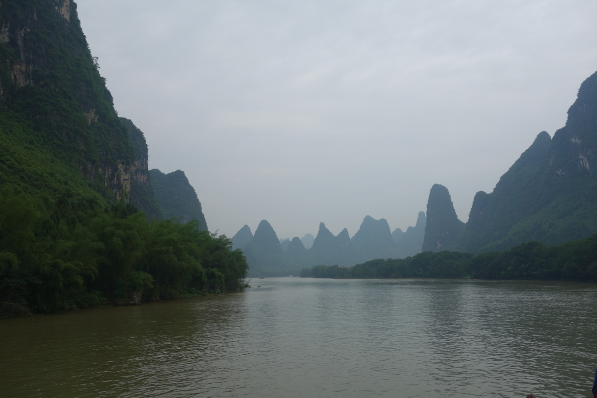 f:id:brown-lizard:20201206180542j:plain