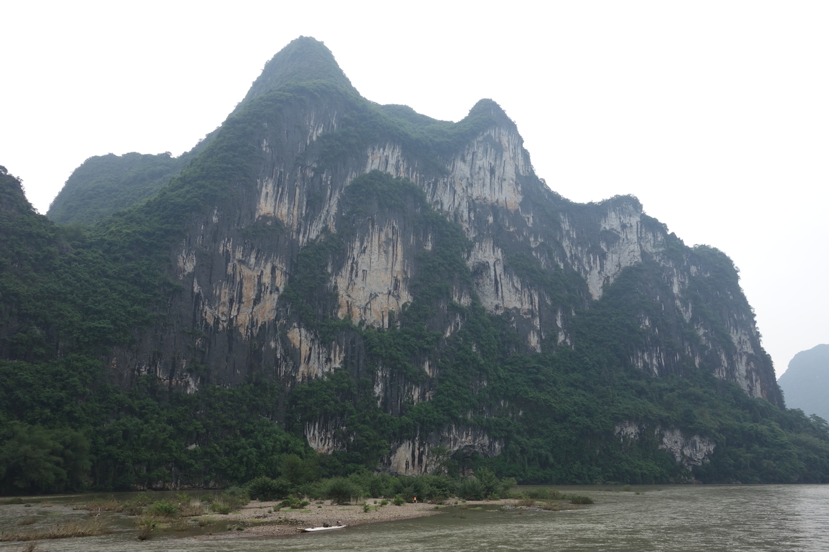 f:id:brown-lizard:20201206180549j:plain