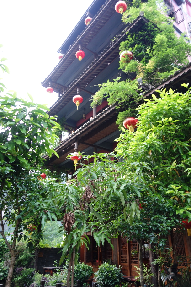 f:id:brown-lizard:20201206181034j:plain